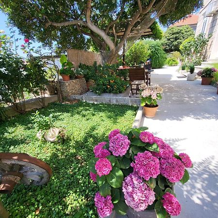 Apartments Miljas Dubrovnik Dış mekan fotoğraf