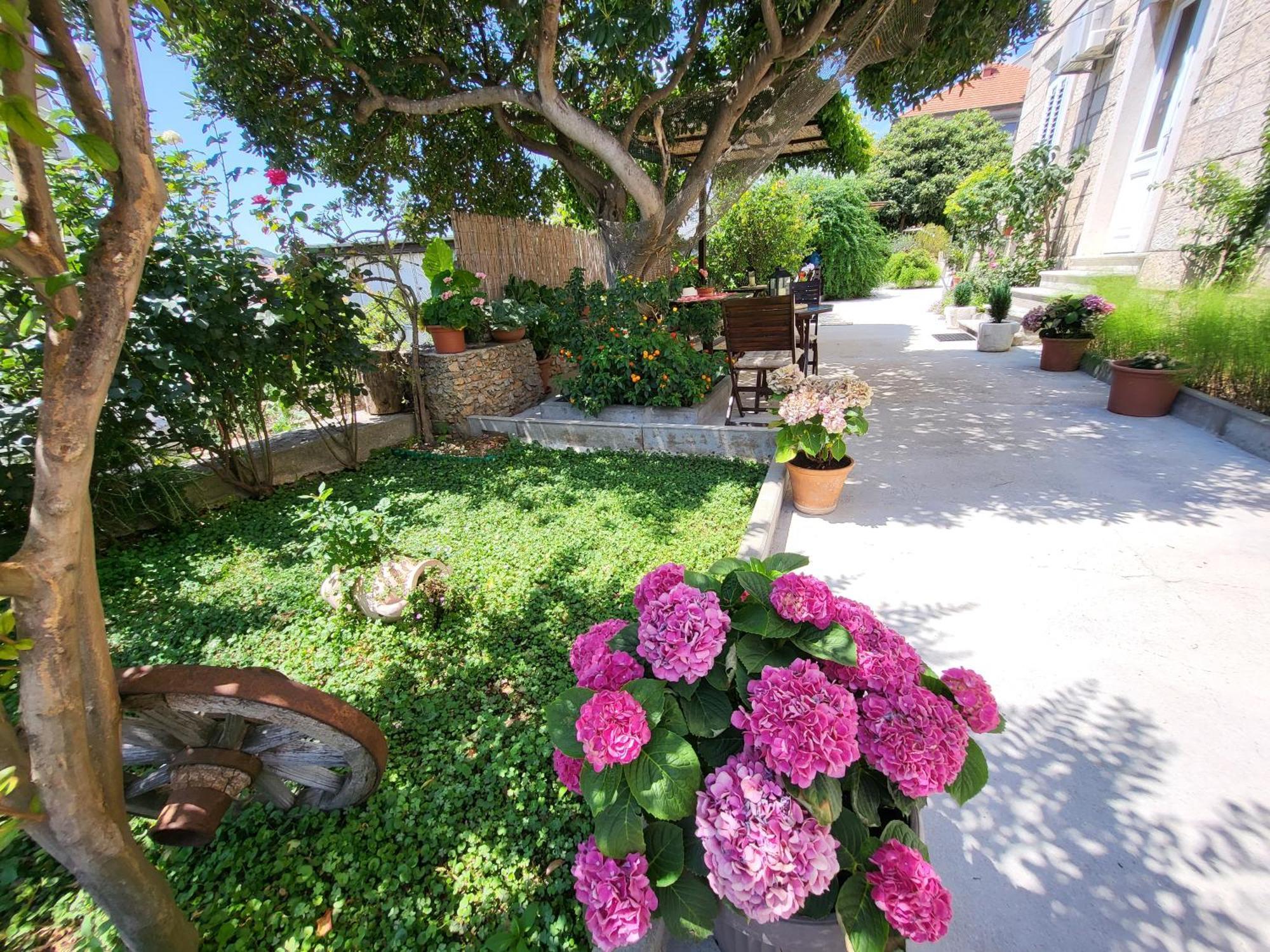Apartments Miljas Dubrovnik Dış mekan fotoğraf